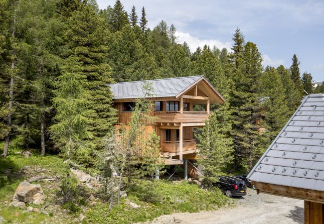 House in Turrach - Chalet #31 with IR-sauna and indoor whirlpool House in Turrach - Chalet #31 with IR-sauna and indoor whirlpool