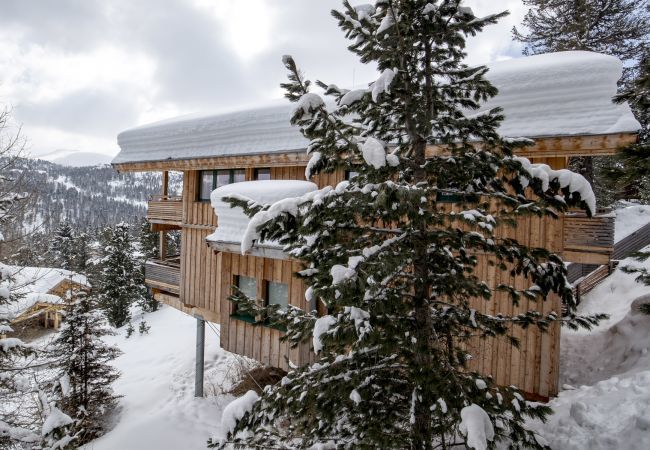 House in Turrach - Chalet # 34 with IR-sauna and indoor whirlpool House in Turrach - Chalet # 34 with IR-sauna and indoor whirlpool