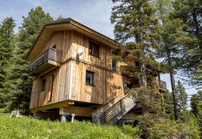 House in Turrach - Chalet # 41 with sauna and indoor whirlpool House in Turrach - Chalet # 41 with sauna and indoor whirlpool