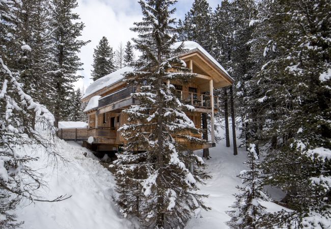 House in Turrach - Chalet # 42 with sauna and whirlpool bath House in Turrach - Chalet # 42 with sauna and whirlpool bath