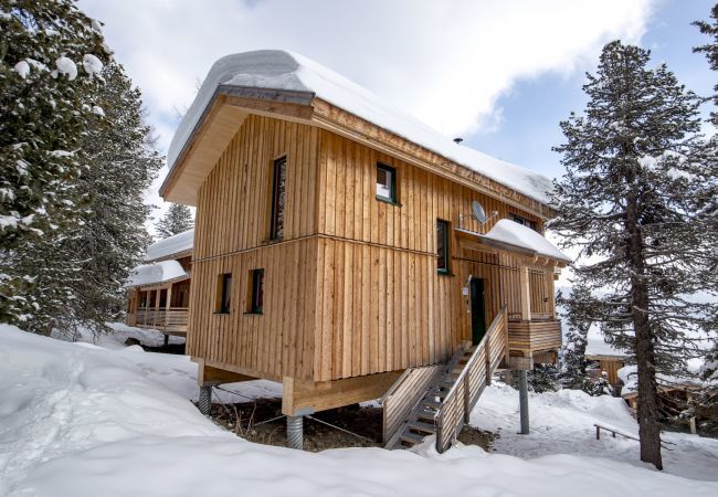 House in Turrach - Chalet #37 with IR-sauna and indoor whirlpool House in Turrach - Chalet #37 with IR-sauna and indoor whirlpool