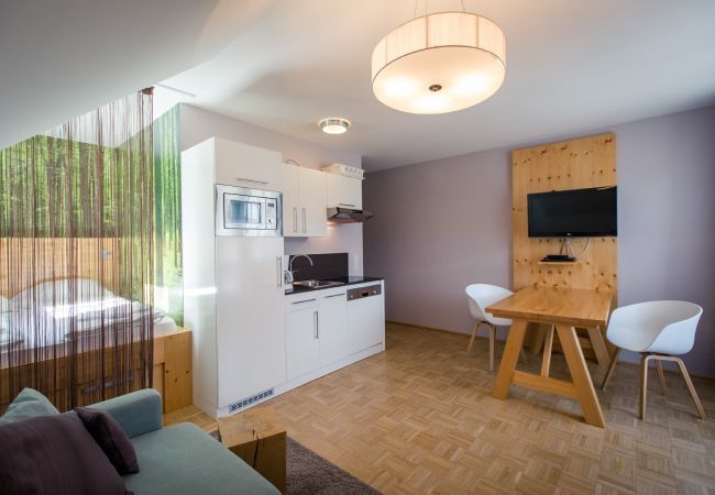 Apartment in Turrach - Studio # 13 with Balcony Apartment in Turrach - Studio # 13 with Balcony