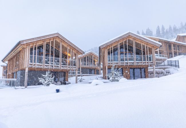 Apartment in Haus im Ennstal - Apartment with sauna & whirlpool Apartment in Haus im Ennstal - Apartment with sauna & whirlpool