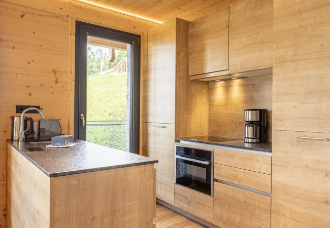 Apartment in Haus im Ennstal - Apartment with sauna & whirlpool Apartment in Haus im Ennstal - Apartment with sauna & whirlpool