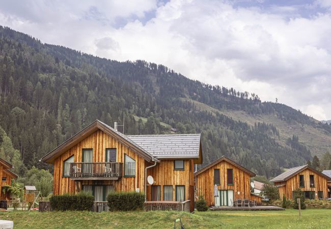 Chalet in Murau - Premium Chalet # 14 with sauna & whirlpool Chalet in Murau - Premium Chalet # 14 with sauna & whirlpool