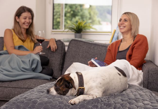 Apartment in St. Georgen am Kreischberg - Apartment #2 with 1 bedroom for up to 4 people Apartment in St. Georgen am Kreischberg - Apartment #2 with 1 bedroom for up to 4 people