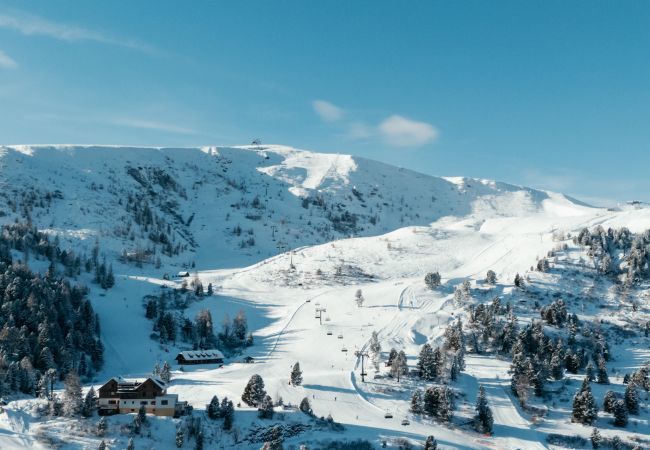 House in Turrach - Superior Chalet # 24 with Sauna & Hot Tub House in Turrach - Superior Chalet # 24 with Sauna & Hot Tub