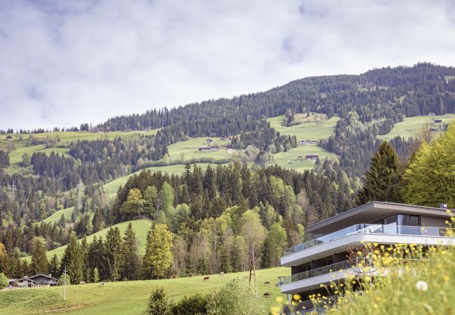 Apartment in Hopfgarten - apartment 1 with 1 bedroom for 2-4 people Apartment in Hopfgarten - apartment 1 with 1 bedroom for 2-4 people