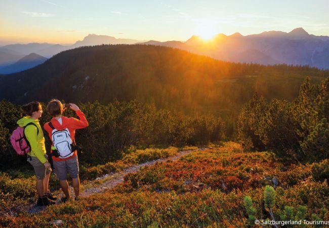 Apartment in St. Martin am Tennengebirge - Apartment for up to 4 people & infinity pool Apartment in St. Martin am Tennengebirge - Apartment for up to 4 people & infinity pool