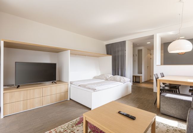 Apartment in Rohrmoos-Untertal - Premium apartment with 1 bedroom and sauna area Apartment in Rohrmoos-Untertal - Premium apartment with 1 bedroom and sauna area