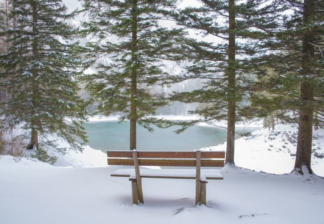 Apartment in Eisenerz - Superior Apartment with IR-Sauna incl. Breakfast Apartment in Eisenerz - Superior Apartment with IR-Sauna incl. Breakfast