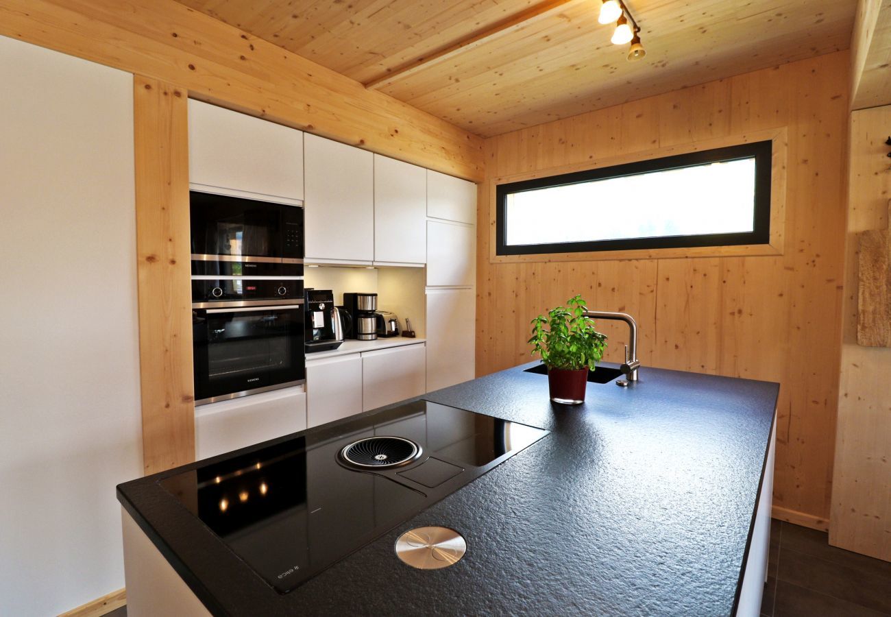House in Hohentauern - Premium Chalet # 47 with Sauna & Whirlpool House in Hohentauern - Premium Chalet # 47 with Sauna & Whirlpool