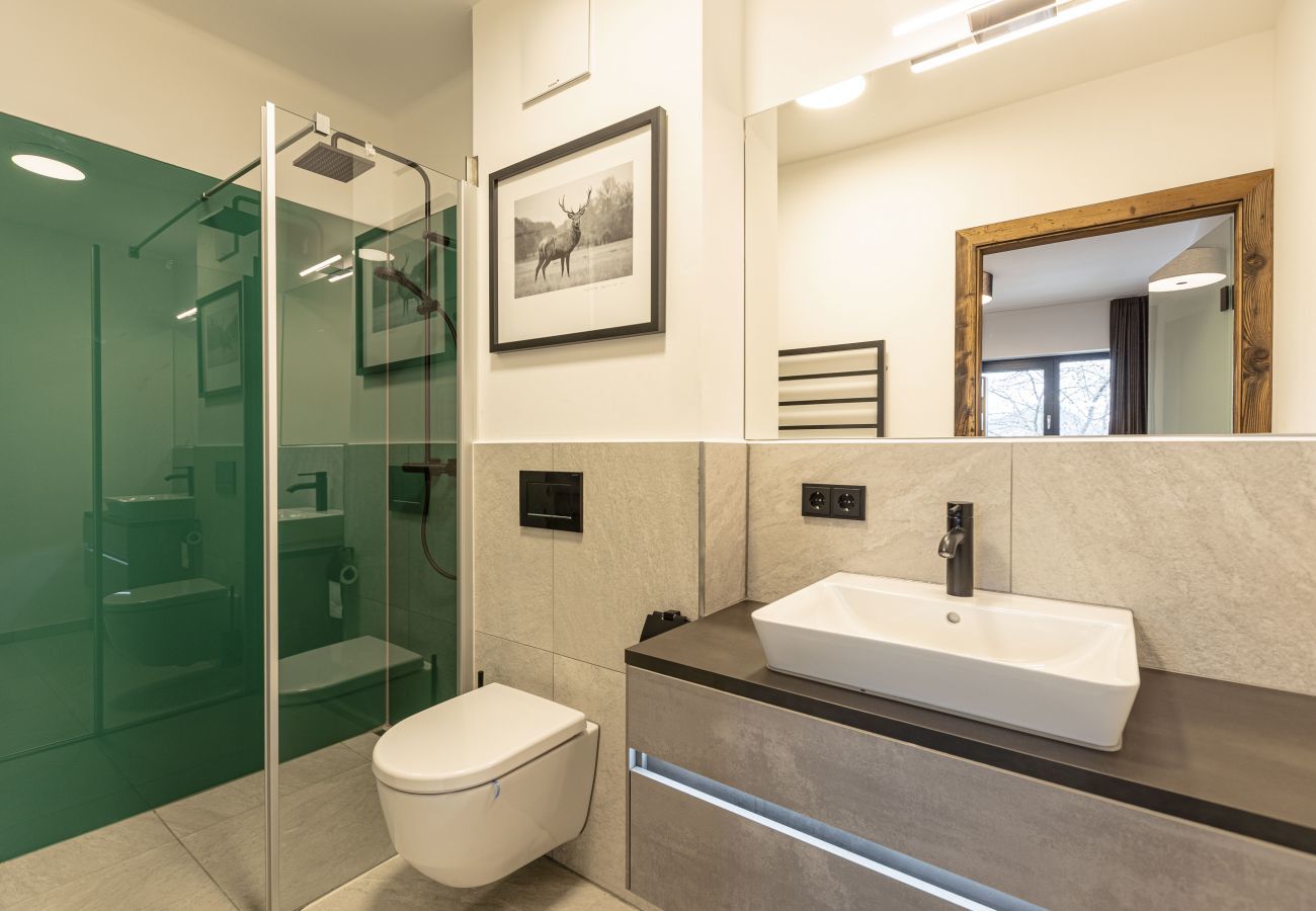 Apartment in St. Martin am Tennengebirge - Superior apartment for 6 p. & Infinity Pool Apartment in St. Martin am Tennengebirge - Superior apartment for 6 p. & Infinity Pool