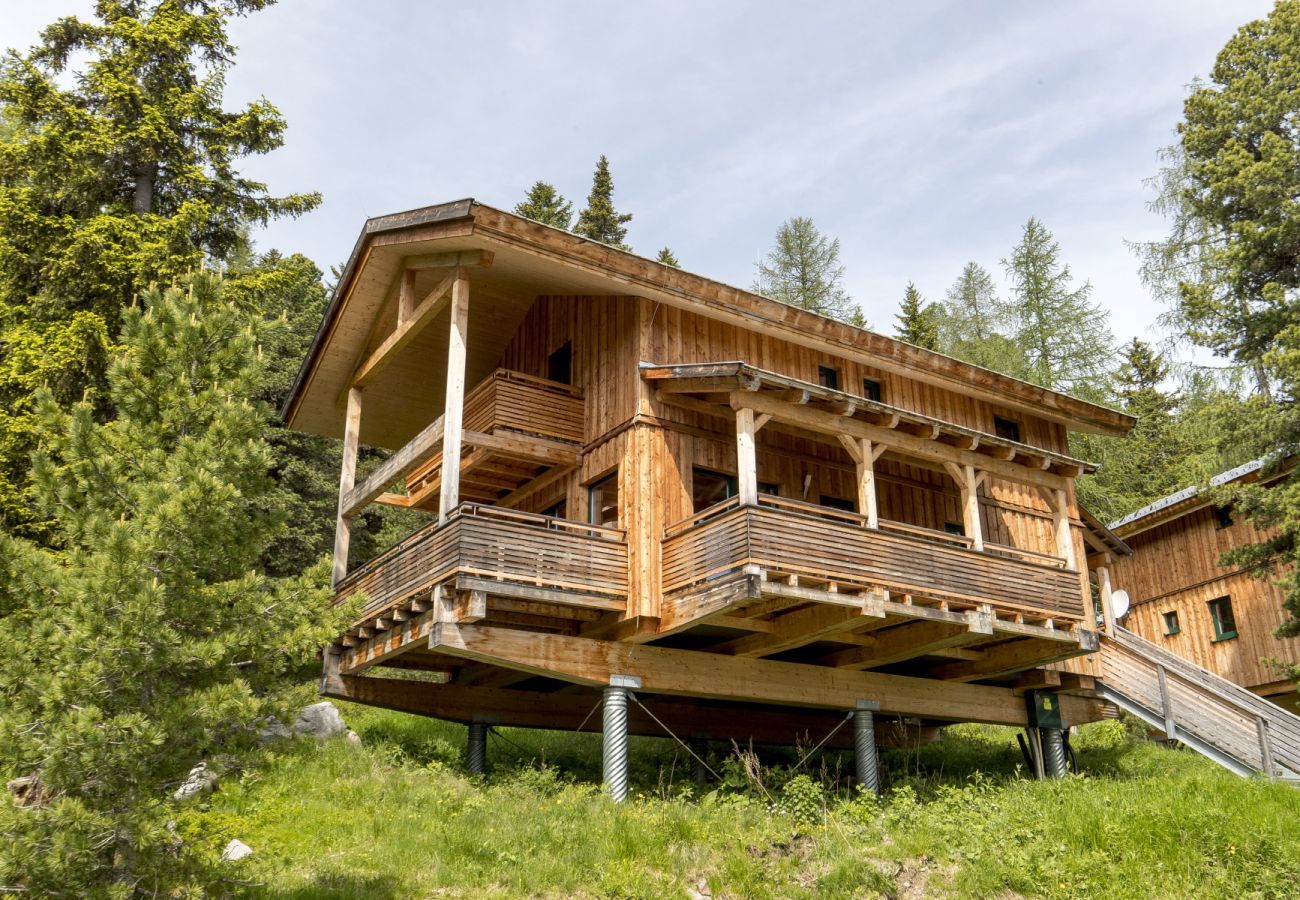 House in Turrach - Chalet #33 with IR-sauna and indoor whirlpool House in Turrach - Chalet #33 with IR-sauna and indoor whirlpool