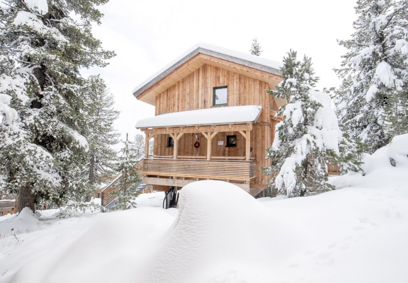 House in Turrach - Chalet #33 with IR-sauna and indoor whirlpool House in Turrach - Chalet #33 with IR-sauna and indoor whirlpool