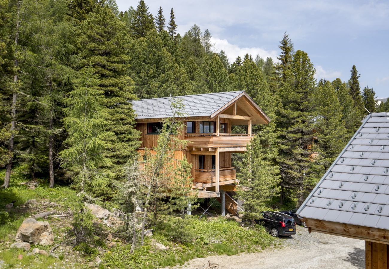 Chalet in Turrach - Chalet #31 with IR-sauna and indoor whirlpool Chalet in Turrach - Chalet #31 with IR-sauna and indoor whirlpool