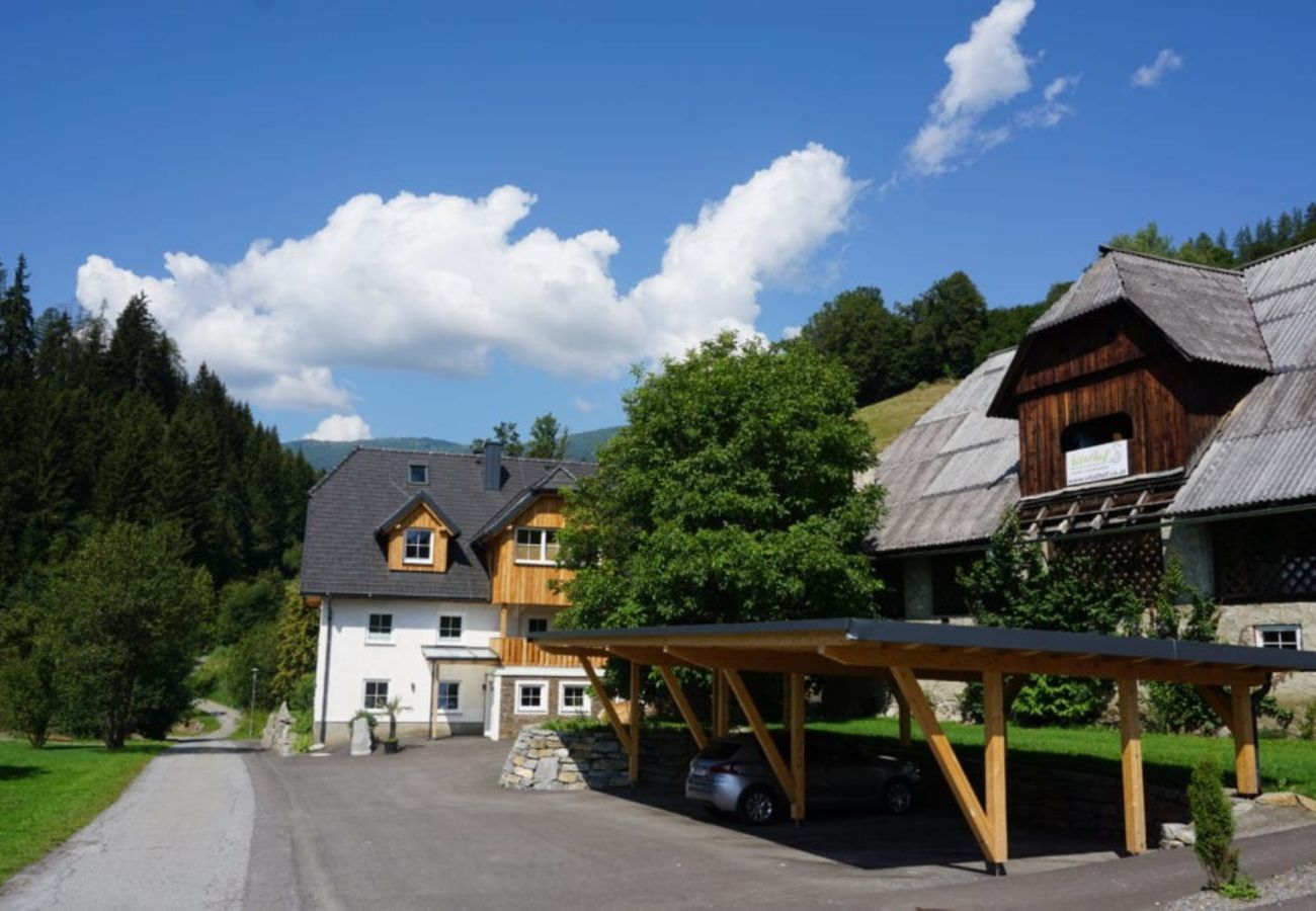 Apartment in St. Georgen am Kreischberg - Apartment #2 with 1 bedroom for up to 4 people Apartment in St. Georgen am Kreischberg - Apartment #2 with 1 bedroom for up to 4 people