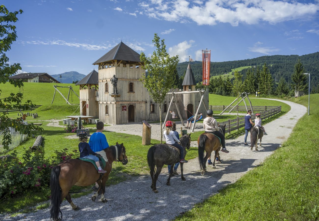 Apartment in Hopfgarten - apartment 1 with 1 bedroom for 2-4 people Apartment in Hopfgarten - apartment 1 with 1 bedroom for 2-4 people