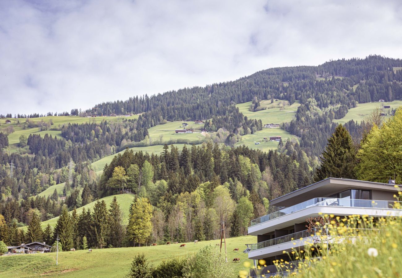 Apartment in Hopfgarten - apartment 1 with 1 bedroom for 2-4 people Apartment in Hopfgarten - apartment 1 with 1 bedroom for 2-4 people