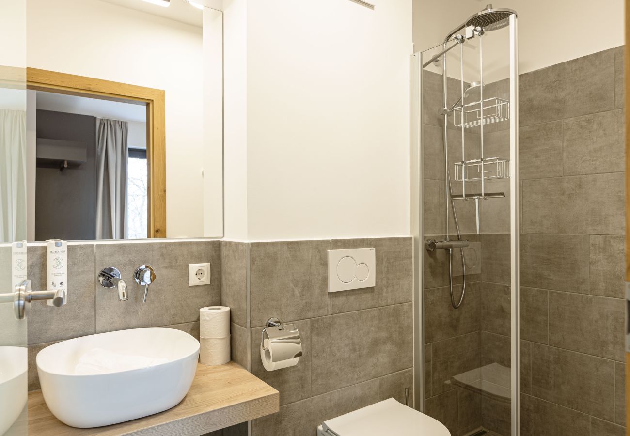 Apartment in St. Martin am Tennengebirge - Apartment for up to 4 people & infinity pool Apartment in St. Martin am Tennengebirge - Apartment for up to 4 people & infinity pool