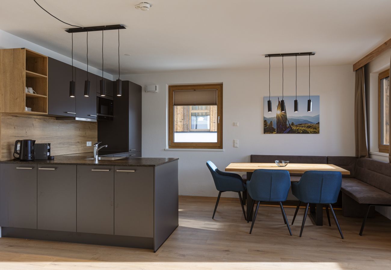 Apartment in Mittersill - Apartment with 1 bedroom