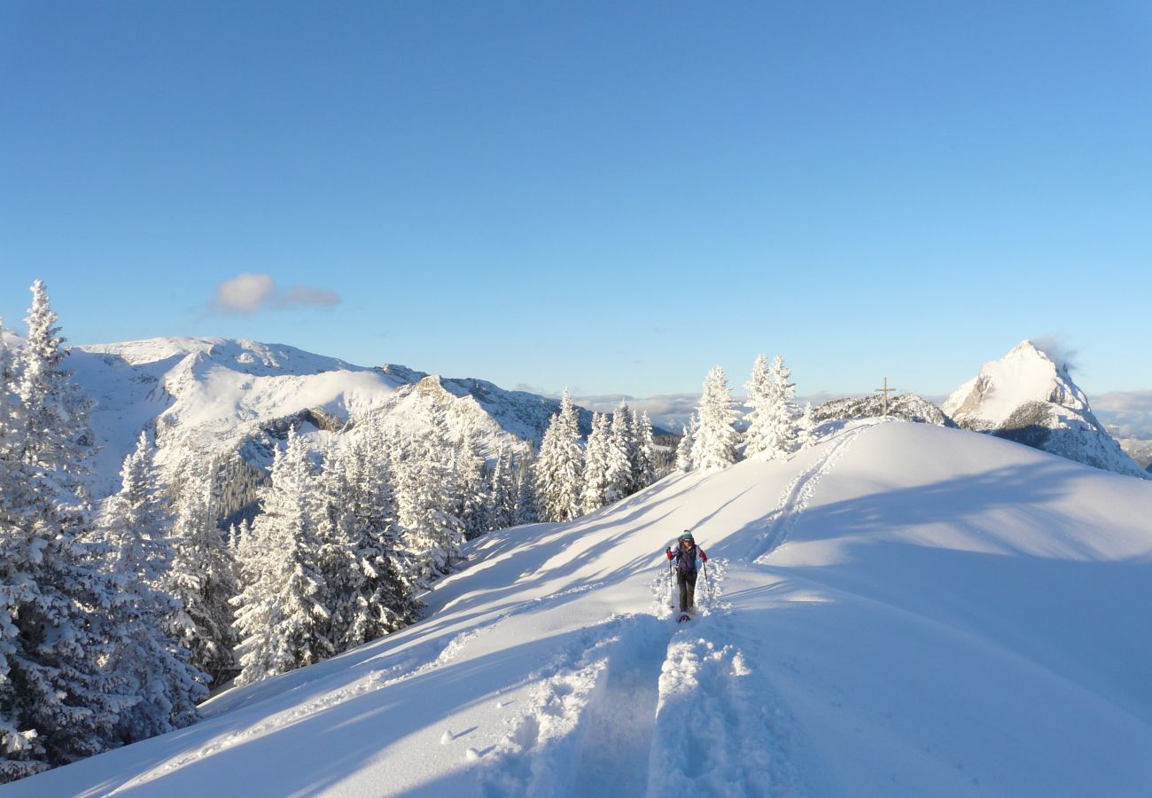 Apartment in Eisenerz - Superior Apartment with IR-Sauna Apartment in Eisenerz - Superior Apartment with IR-Sauna