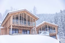 Huis in Haus im Ennstal - Superior vakantiehuis met 3 slaapkamers, sauna & zwembad