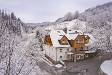 Appartement in St. Georgen am Kreischberg - Appartement met 1 slaapkamer (65)