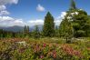 Chalet in Murau - Superior-chalet met 3 slaapkamers, sauna en hot tub
