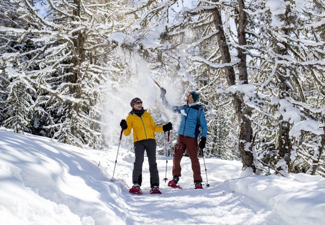 Huis in Murau - Vakantiehuis # 2a met 3 slaapkamers & whirlpool Huis in Murau - Vakantiehuis # 2a met 3 slaapkamers & whirlpool