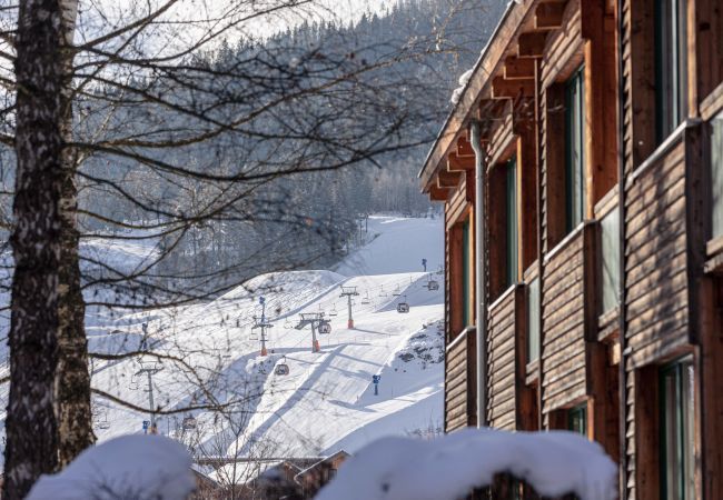 Appartement in St. Georgen am Kreischberg - Studio  Appartement in St. Georgen am Kreischberg - Studio