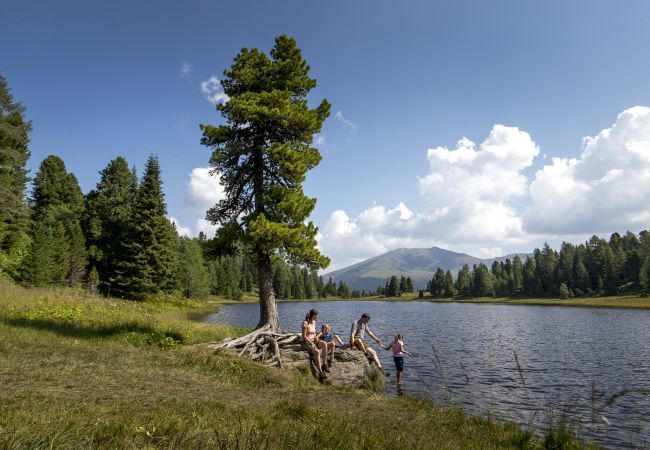 Appartement in St. Georgen am Kreischberg - Studio  Appartement in St. Georgen am Kreischberg - Studio