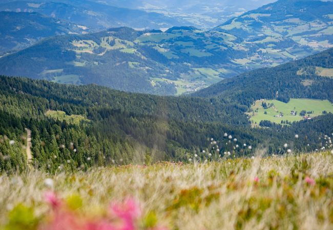 Chalet in St. Georgen am Kreischberg - Vakantiehuis voor tot 4 pers. met galerij Chalet in St. Georgen am Kreischberg - Vakantiehuis voor tot 4 pers. met galerij