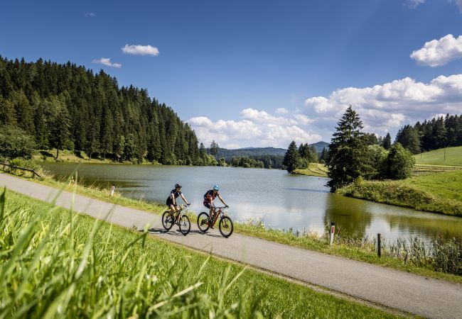 Chalet in St. Georgen am Kreischberg - Vakantiehuis voor tot 4 pers. met galerij Chalet in St. Georgen am Kreischberg - Vakantiehuis voor tot 4 pers. met galerij