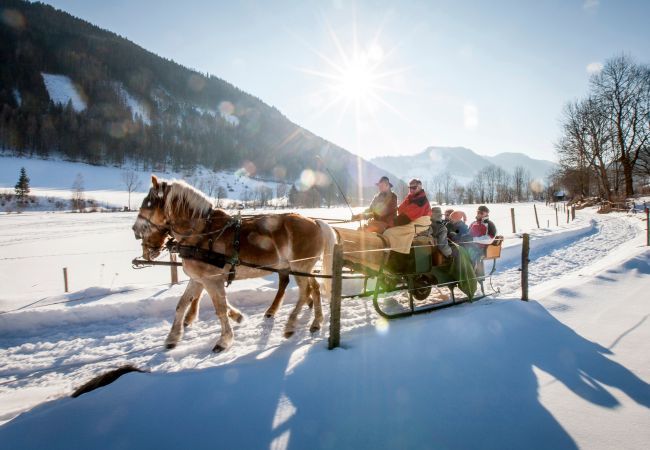 Chalet in Murau - Superior vakantiehuis # 15 met IR-sauna & whirlpool Chalet in Murau - Superior vakantiehuis # 15 met IR-sauna & whirlpool