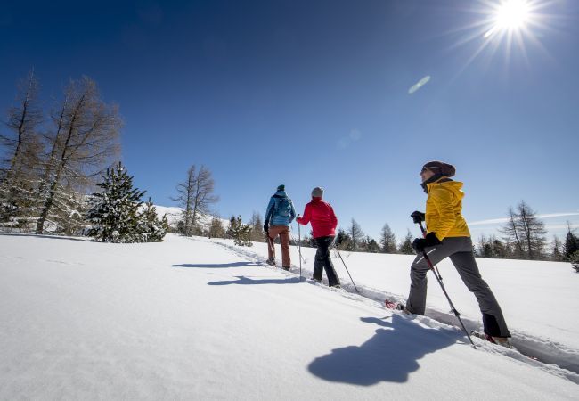 Chalet in Murau - Premium vakantiehuis # 20 met sauna & whirlpool Chalet in Murau - Premium vakantiehuis # 20 met sauna & whirlpool