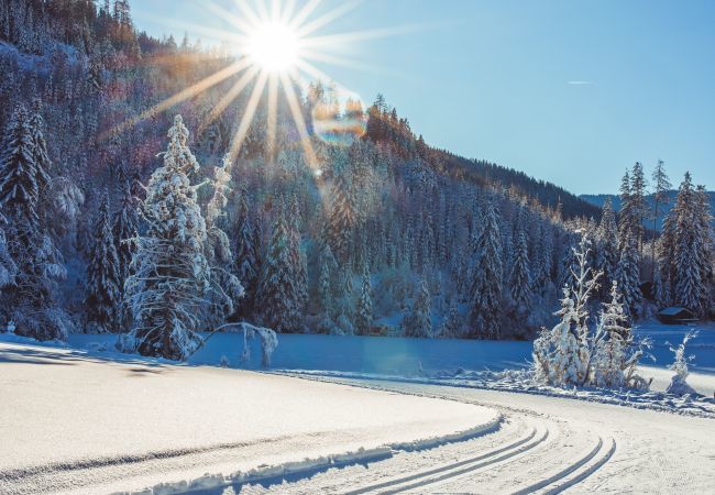 Chalet in Murau - Vakantiehuis Classic # 21a, met 4 slaapk. & IR-sauna Chalet in Murau - Vakantiehuis Classic # 21a, met 4 slaapk. & IR-sauna