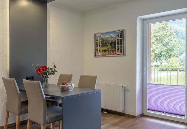 Appartement in Eisenerz - Apartment for  for 2 adults & 2 children Appartement in Eisenerz - Apartment for  for 2 adults & 2 children