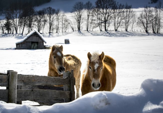 Chalet in Murau - Premium vakantiehuis # 8 met sauna & zwemspa Chalet in Murau - Premium vakantiehuis # 8 met sauna & zwemspa