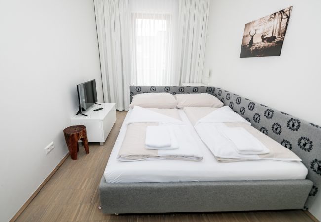 Appartement in Rohrmoos-Untertal - appartement met 2 slaapkamers & wellnesscentrum Appartement in Rohrmoos-Untertal - appartement met 2 slaapkamers & wellnesscentrum
