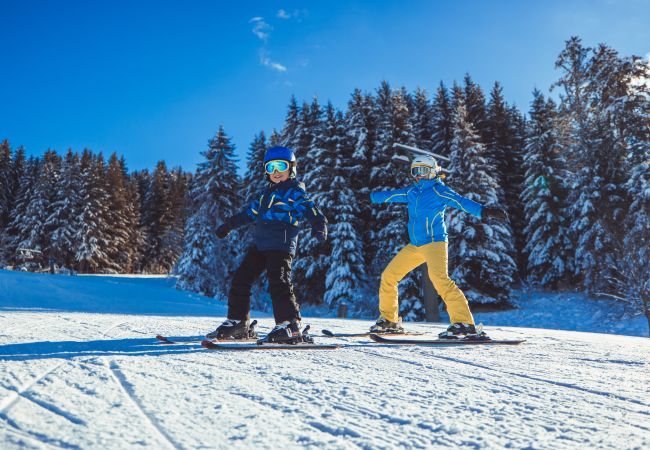 Chalet in St. Lambrecht - Chalet # 19 for up to 8 people with IR- Sauna Chalet in St. Lambrecht - Chalet # 19 for up to 8 people with IR- Sauna