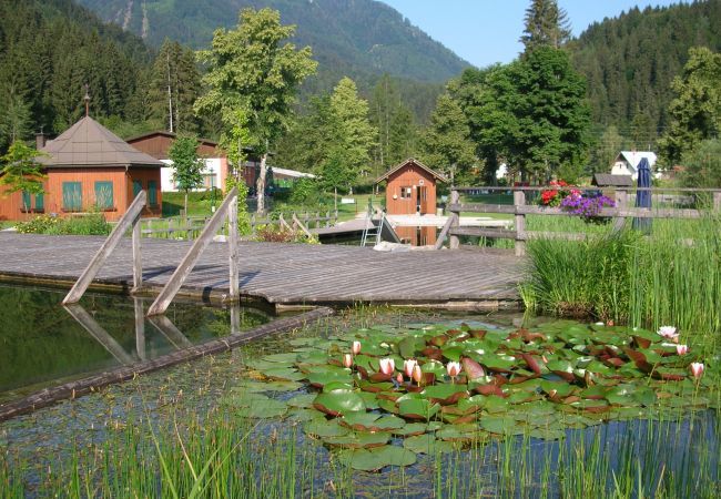 Chalet in Kötschach-Mauthen -  Premium Boomhut met 1 slaapkamer Chalet in Kötschach-Mauthen -  Premium Boomhut met 1 slaapkamer