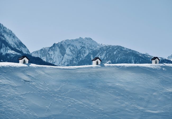 Chalet in Kötschach-Mauthen -  Premium Boomhut met 1 slaapkamer Chalet in Kötschach-Mauthen -  Premium Boomhut met 1 slaapkamer