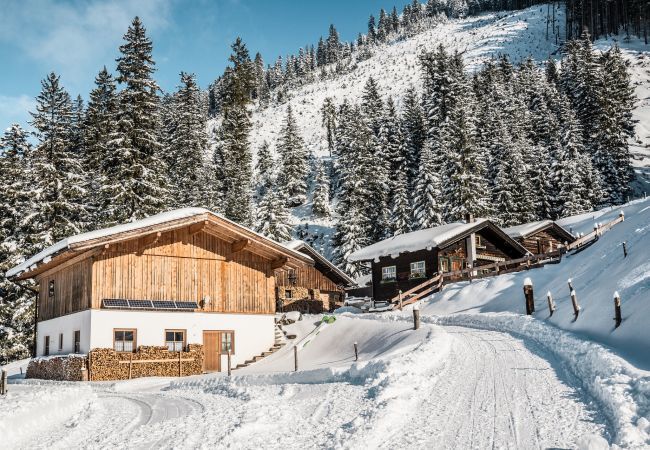 Appartement in Reith bei Kitzbühel - Appartement met 1 slaapkamer voor 4 personen Appartement in Reith bei Kitzbühel - Appartement met 1 slaapkamer voor 4 personen