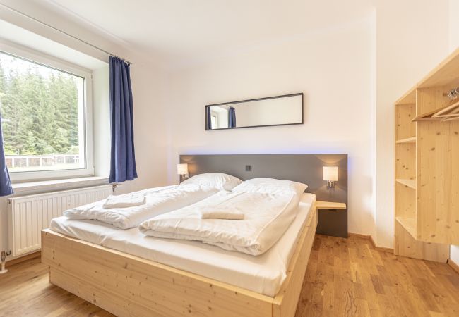 Appartement in Eisenerz - Comfort plus Apartment III Appartement in Eisenerz - Comfort plus Apartment III