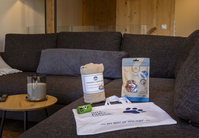 Appartement in Eisenerz - Superior Apartment with IR sauna & whirlpool tub III Appartement in Eisenerz - Superior Apartment with IR sauna & whirlpool tub III