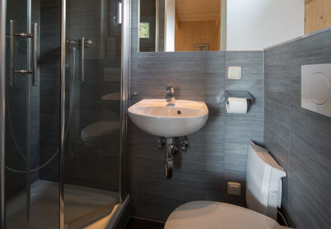 Huis in Turrach - Vakantiehuis # 5 met IR sauna & bubbelbad Huis in Turrach - Vakantiehuis # 5 met IR sauna & bubbelbad