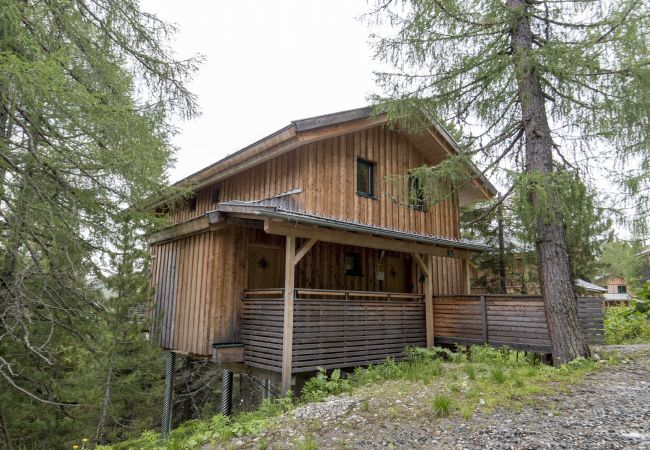 Huis in Turrach - Vakantiehuis # 12 met IR-sauna en indoor whirlpool Huis in Turrach - Vakantiehuis # 12 met IR-sauna en indoor whirlpool