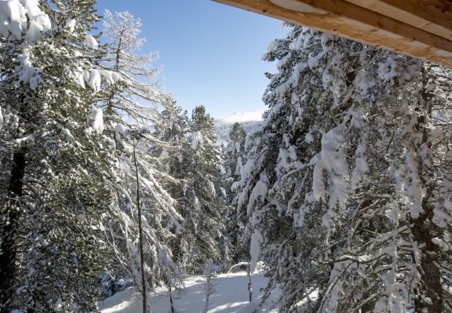 Huis in Turrach - Vakantiehuis # 28 met sauna en indoor whirlpool Huis in Turrach - Vakantiehuis # 28 met sauna en indoor whirlpool