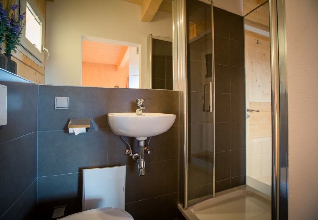 Huis in Turrach - Vakantiehuis # 48 met IR-sauna en outdoor whirlpool Huis in Turrach - Vakantiehuis # 48 met IR-sauna en outdoor whirlpool